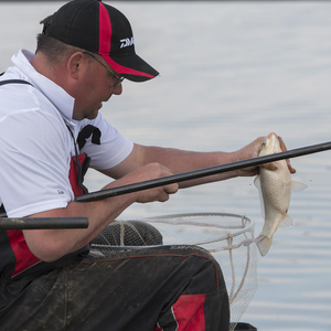 Will with a Carassio