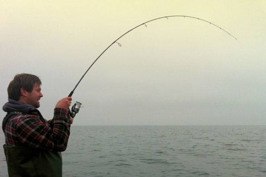 16950_branzino-80-rod-1.jpg_cap