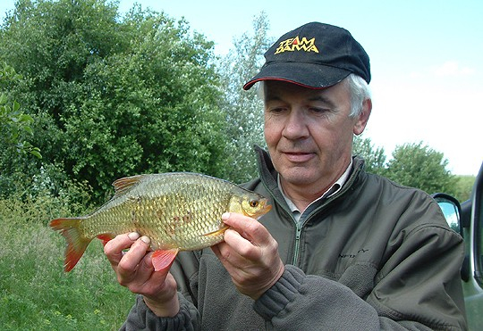 The smaller of Nev's rudd brace at 1lb 8oz