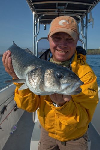 Austen Goldsmith in action. 