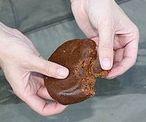 ms_ashmead_oct08_paste1.jpg_cap