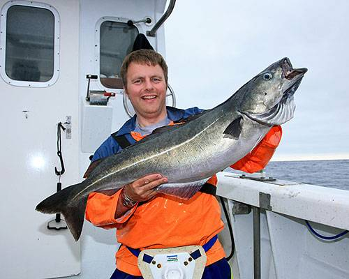 super_shetland1.jpg_cap